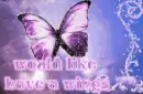 would like have a wings