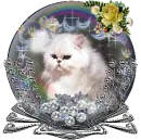 cat in a globe