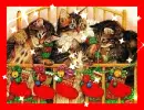 cats with christmas stockings