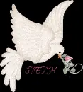 DOVE 
