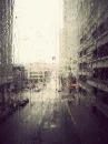 the city