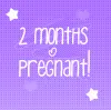 2 months 