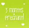 3 months 