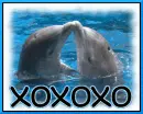 xoxoxo