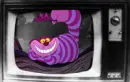 The cat everywhere thats purple...Alice in Wonderland
