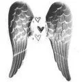 angel wings
