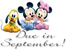 Due In September!