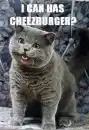 Don't Spoil your cat