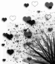 Hearts