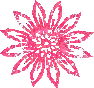 pink star