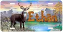 Buck Deer Tag- Ethan