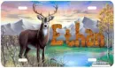 Buck Deer Tag- Ethan