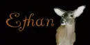 Doe Tag- Ethan