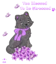 Blessed Kitty