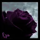 Purple Flower