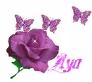 Purple Rose