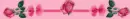 pink rose sparkly bows - div
