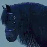 horse - koÅ„ - uma