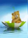 umbrella and bear