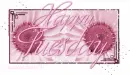 Tuesday Pink Flower