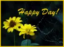 happy Day!
