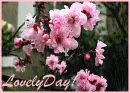 Lovely day!