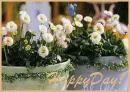 happy day!
