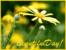 beautiful day!