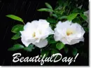 beautiful day!