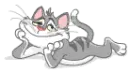 smiling cat