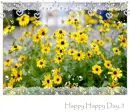 happy day!