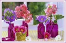 lovely flowers