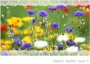happy day!