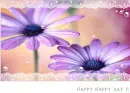 happy day!