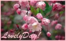lovely day!