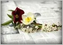 cute flowers