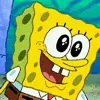 sponge