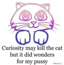 Curiousity May Kill the Cat
