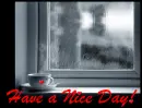 have a nice day!