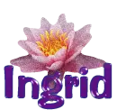Flower-Ingrid