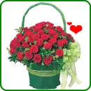 red roses