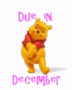 Pooh- Due in December (in pink)