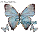 Vanessa