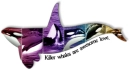 Killer Whales is Love