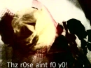Rose isn't for you