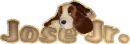 Dog with Name