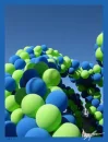 DNA Strands