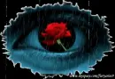 Eye w/rose