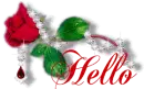 hello rose