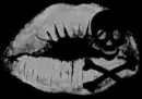 kiss skull